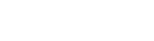 Logotipo de bversion.es, especialistas en entrenamiento y bienestar