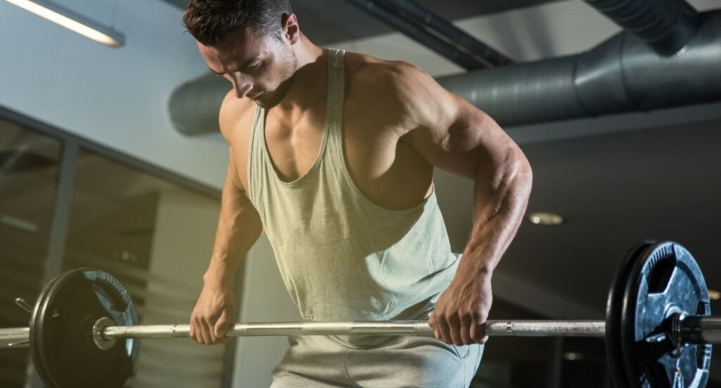 Rutina de ejercicios para ganar masa muscular guiada por entrenadores de bversio.es